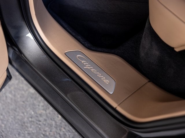 2019 Porsche Cayenne Cayenne